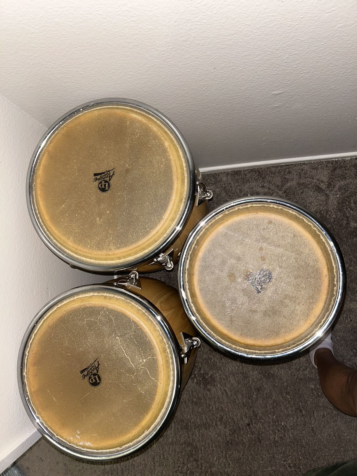 Congas