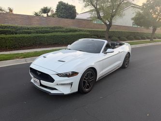 2019 Ford Mustang
