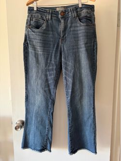 Democracy “Ab Technology” Denim Jeans