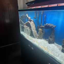180 Glass Fish Tank 