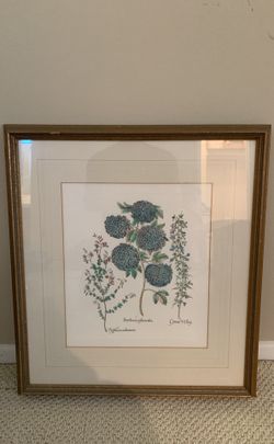 Lovely hydrangea print