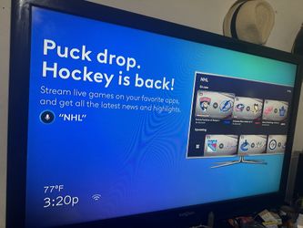 TV INSIGNIA 48inch Model# NS-46l240a13