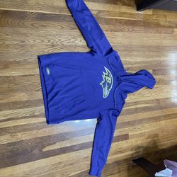 Ravens NFL hoodie Purple size Large authentic 