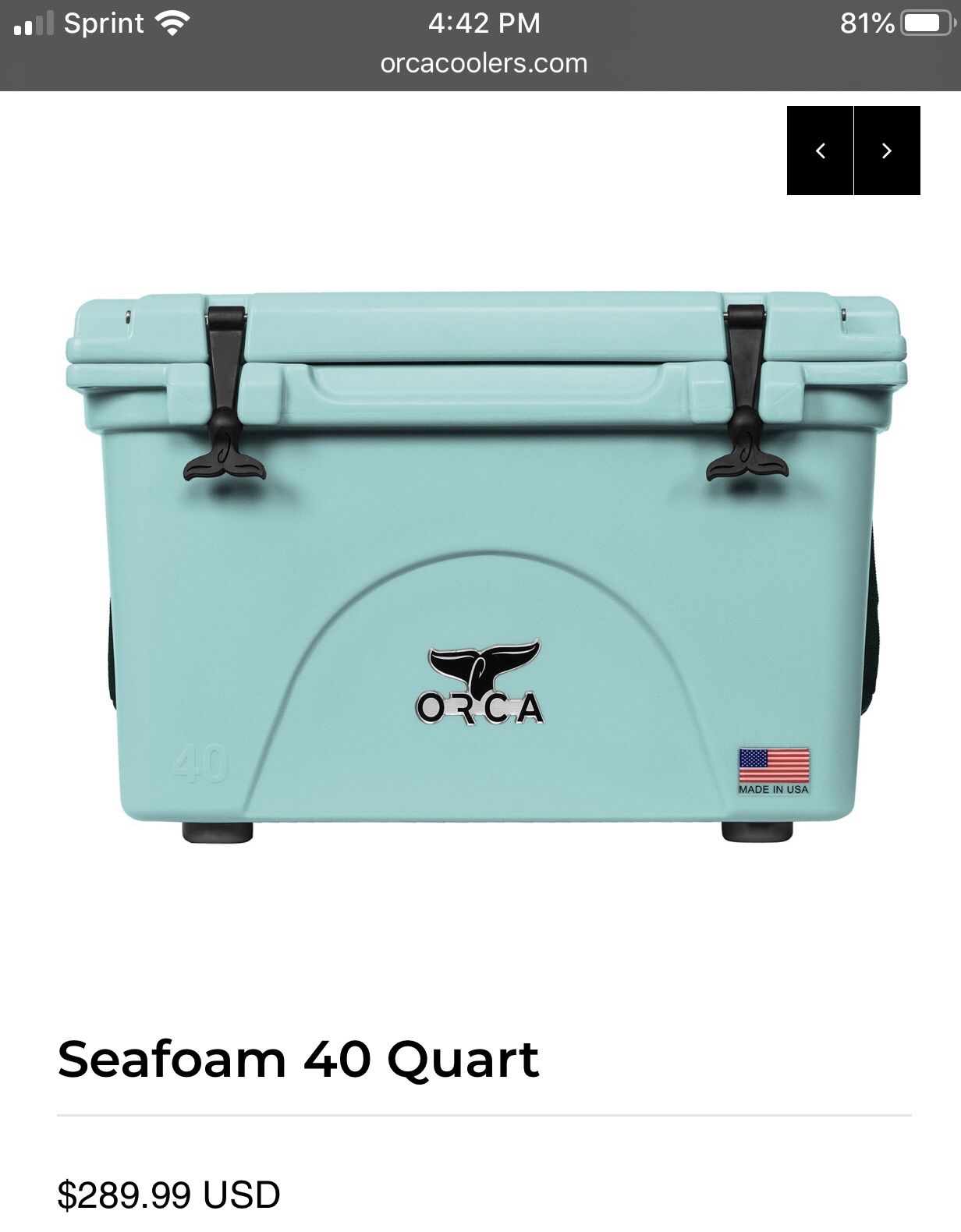 Orca 40 quart cooler - Seafoam