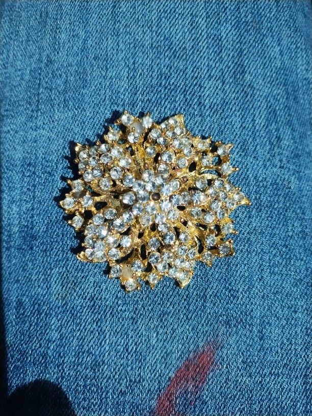 Elegant Indian Style Brooches