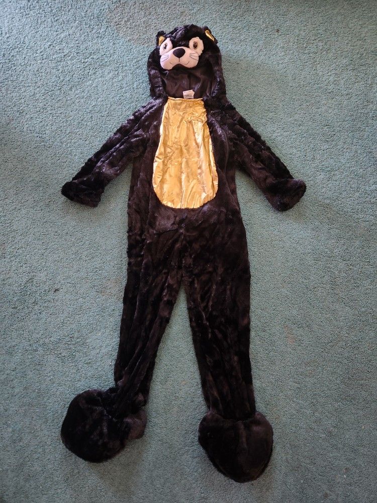 Black Cat Costume $20
