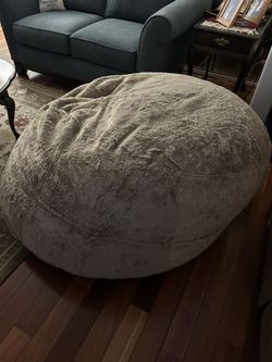 Bean Bag That Unzips & Turns Into A Bed.