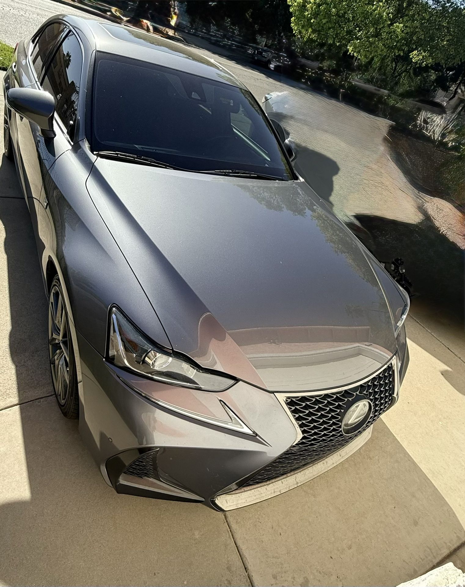 2019 Lexus IS 300