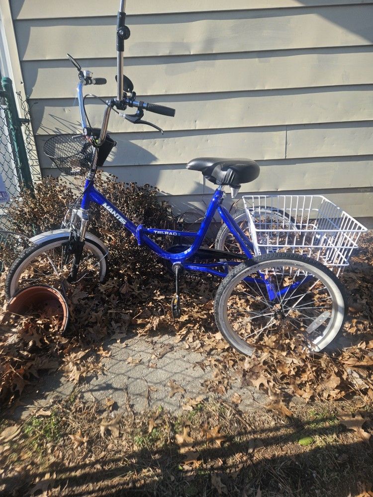 Trike