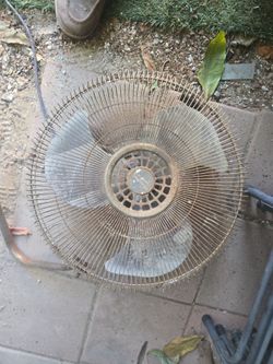 Fan