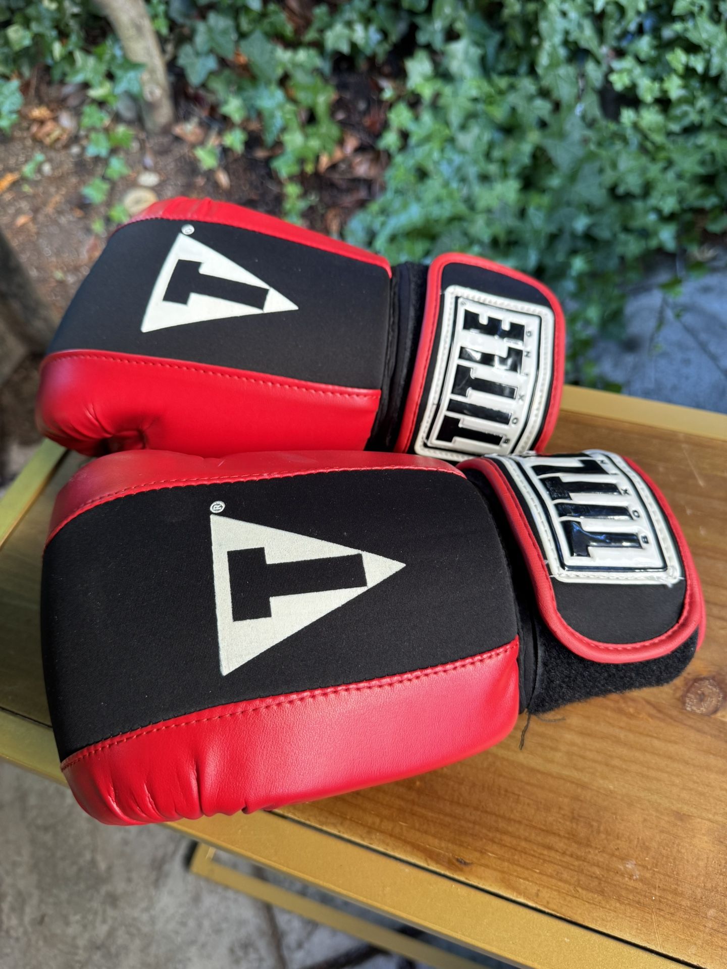 Boxing Gloves And 2 Hand Wraps