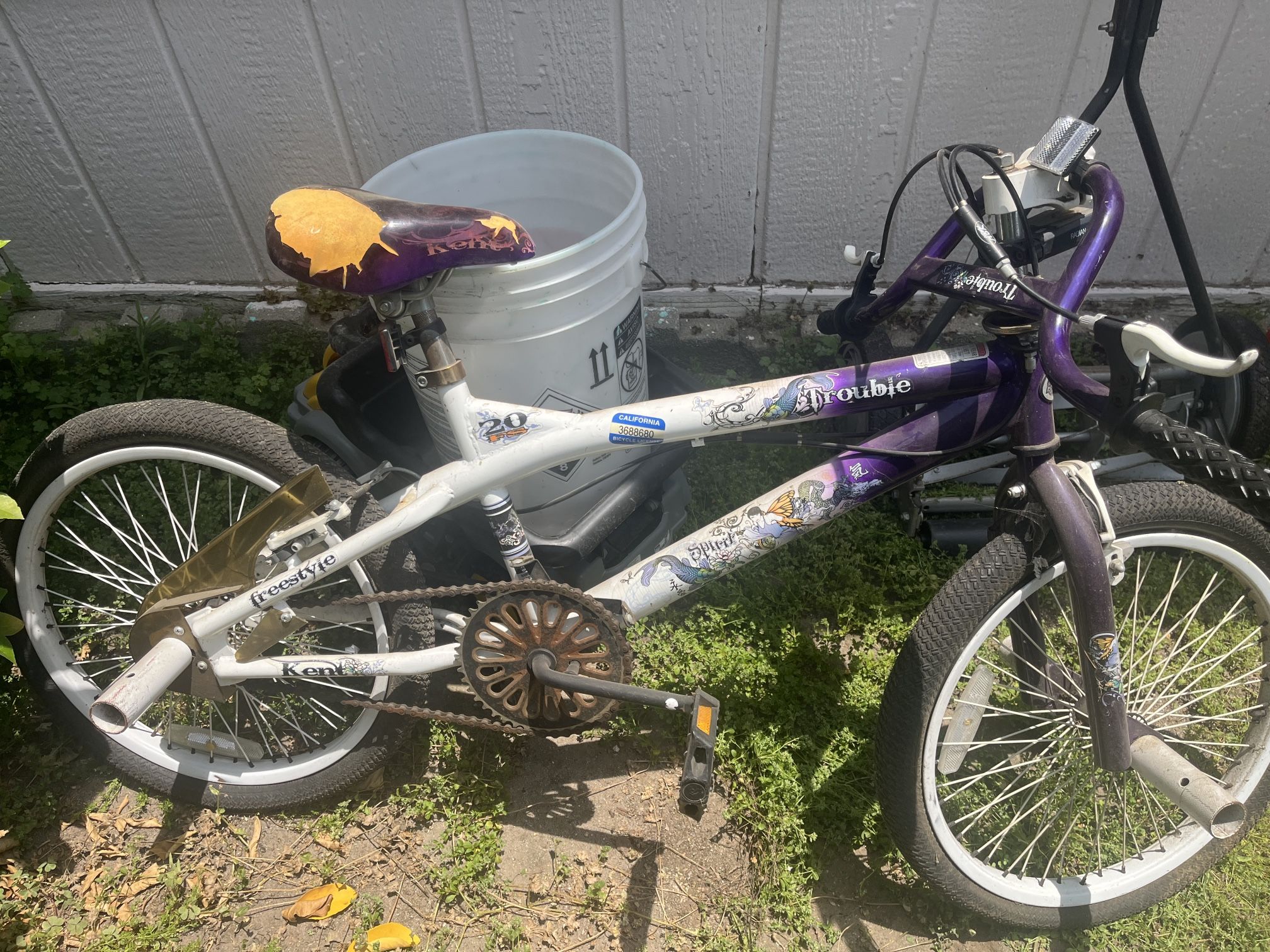 Girl Bike