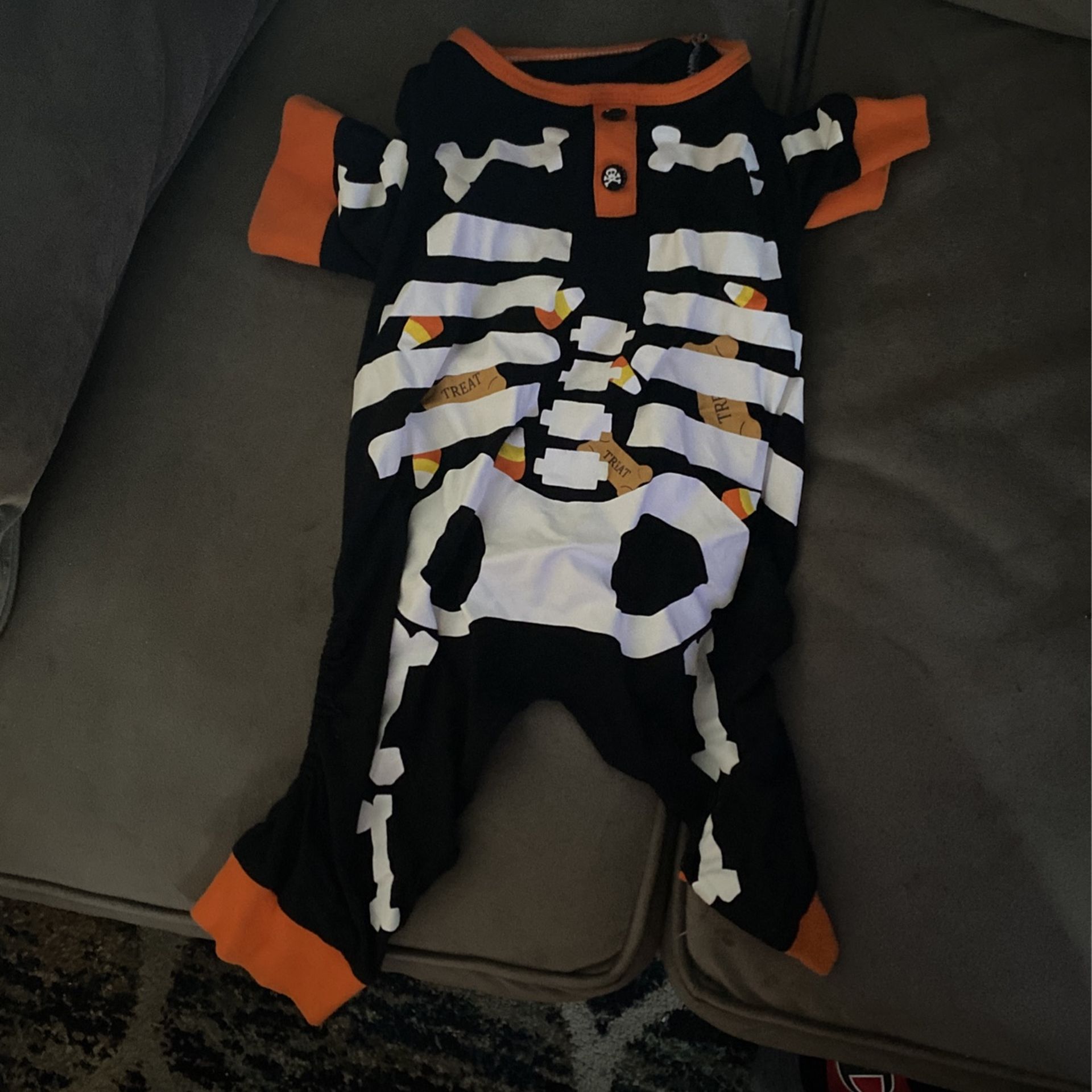 Halloween Dog Costume