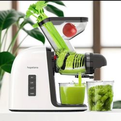 Slow Masticating Cold Press Juicer with 3" Dual Feed Chute - 2-Speed Settings, Quiet DC Motor, High Yield & Easy Clean - White Juicer for Fruits & Veg