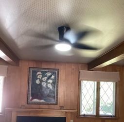Ventilador de techo con luz de 52 pulgadas (nuevo en su caja)