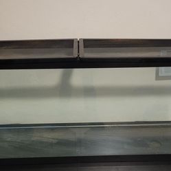 55 Gallon Tank 