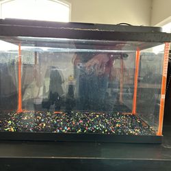 10 Gallon Glow Fish Tank