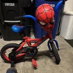 Bike Toddler 