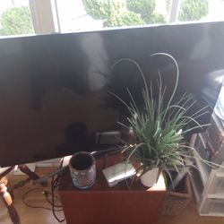 Flat screen Television