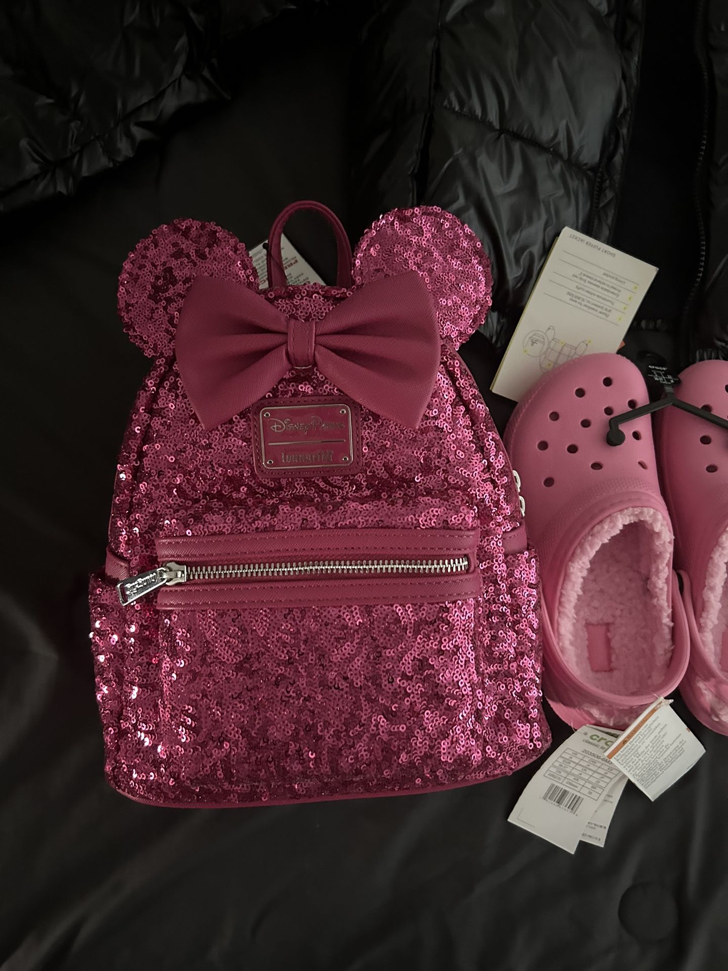 Disneyland Backpack