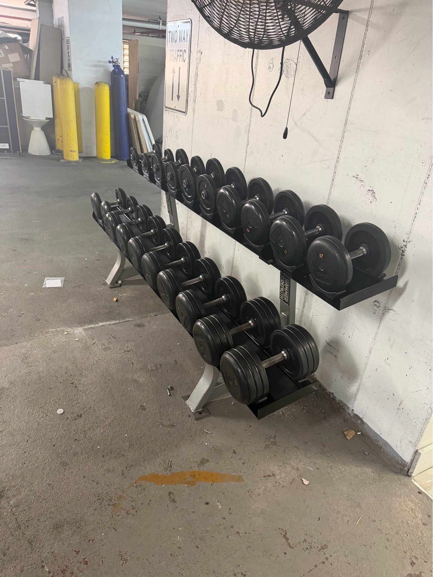 Commercial-grade Troy rubber dumbbell set with heavy-duty rack.