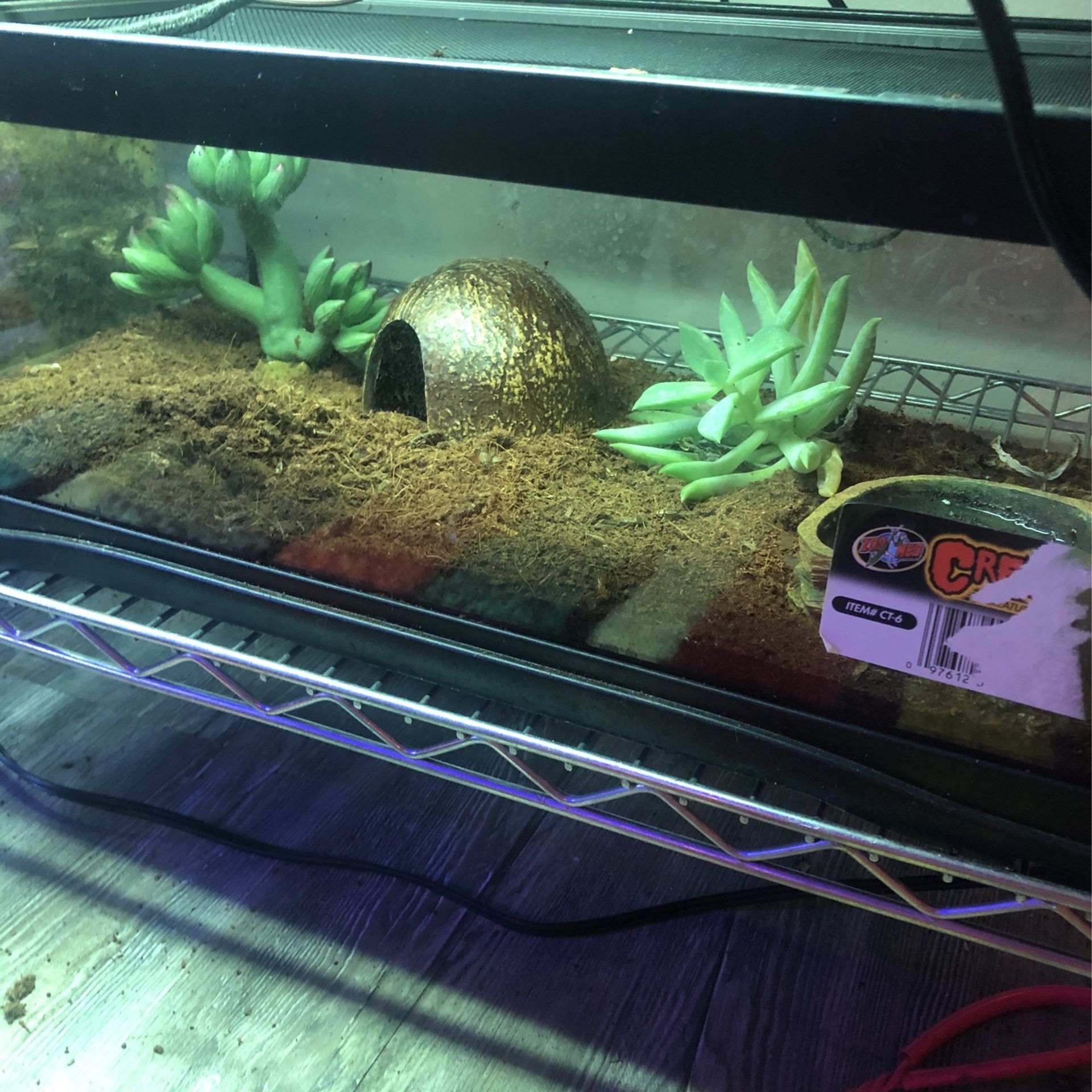 Gecko Enclosure