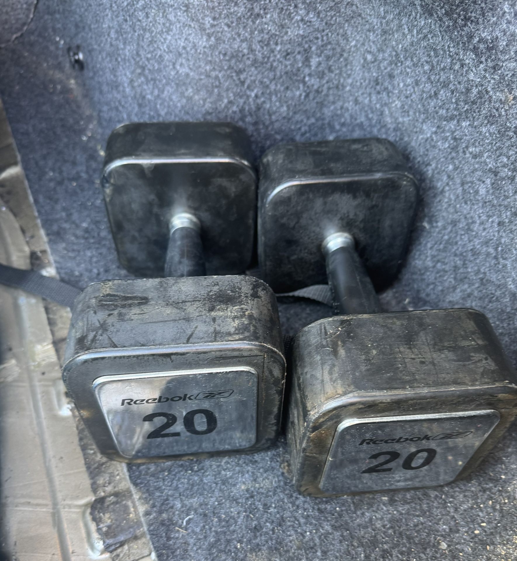 Dumbbells 20 Lbs