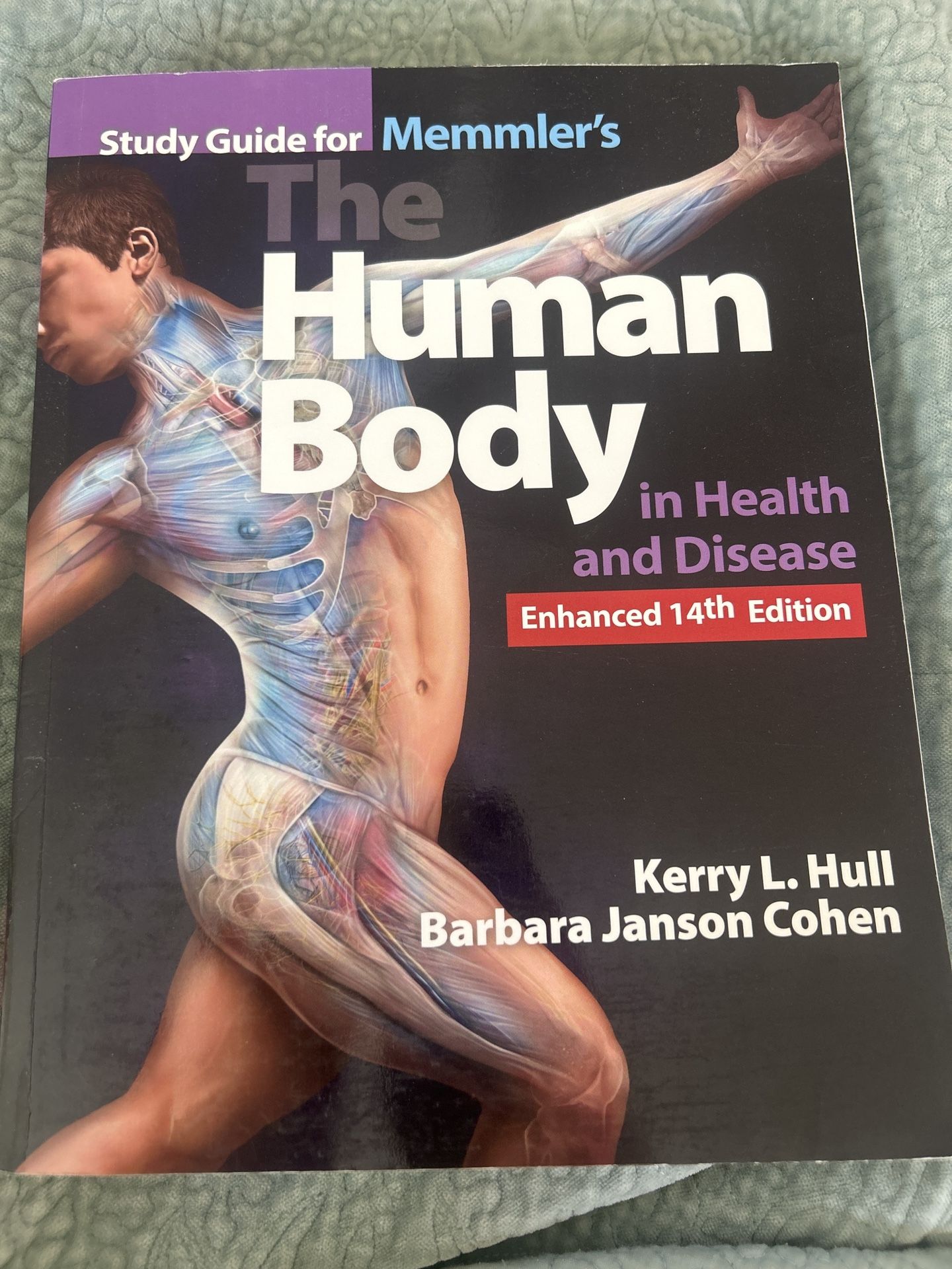 The Human Body In Health And Disease 