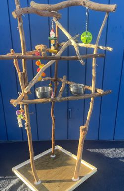 Parrot Perch Tree … Large Parrot / Macaw Perch Tree … A Great Socializer And Wing Flapping Spot … A Great Look ( Artsy And Curvy )!