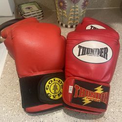 Youth Boxing Gloves