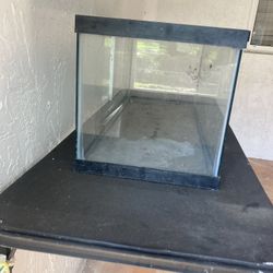 Fish Tank 