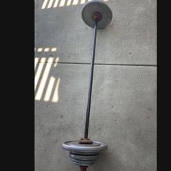 Weight Plates / Bar. Rack.  105 Dollars 