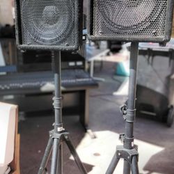Crate PA-12 Speakers 