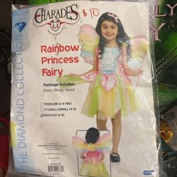 Rainbow Princess Fairy Costume