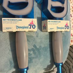 Key To Disneyland Key With ALL PINS DISNEYLAND 70th