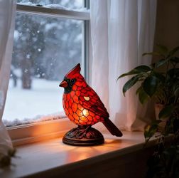 Night Light with - Bird- Switch-Controlled Bedside, Cute Red & Black Bird Nightlight