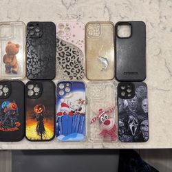 iPhone 13 Pro Max Cases (10)