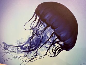 Huge CB2 Jellyfish Wall Art