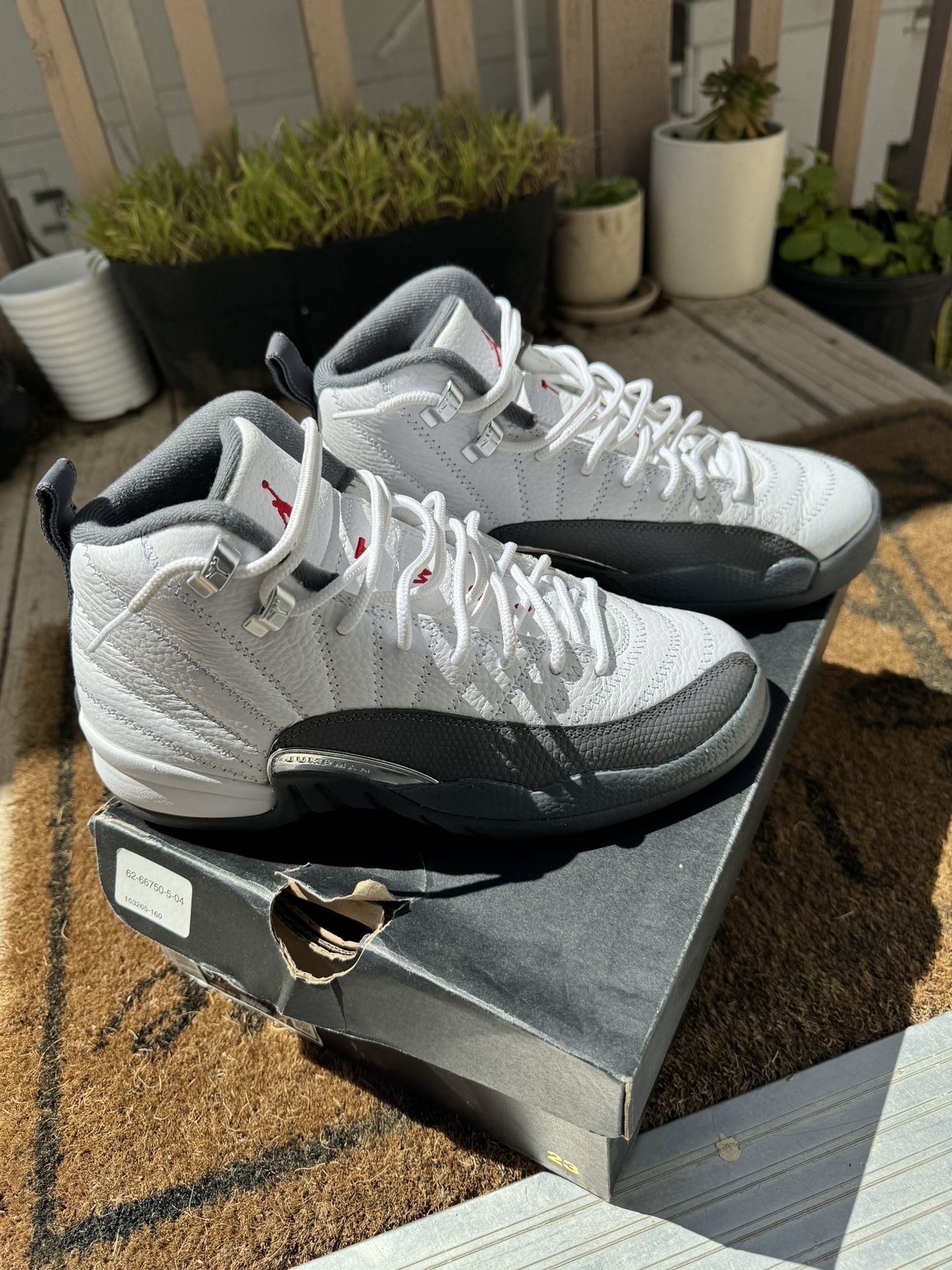 Jordan 12 GS