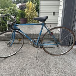 Takara Touring Vintage 12 Speed Bicycle