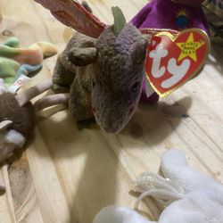 Beanie Babies