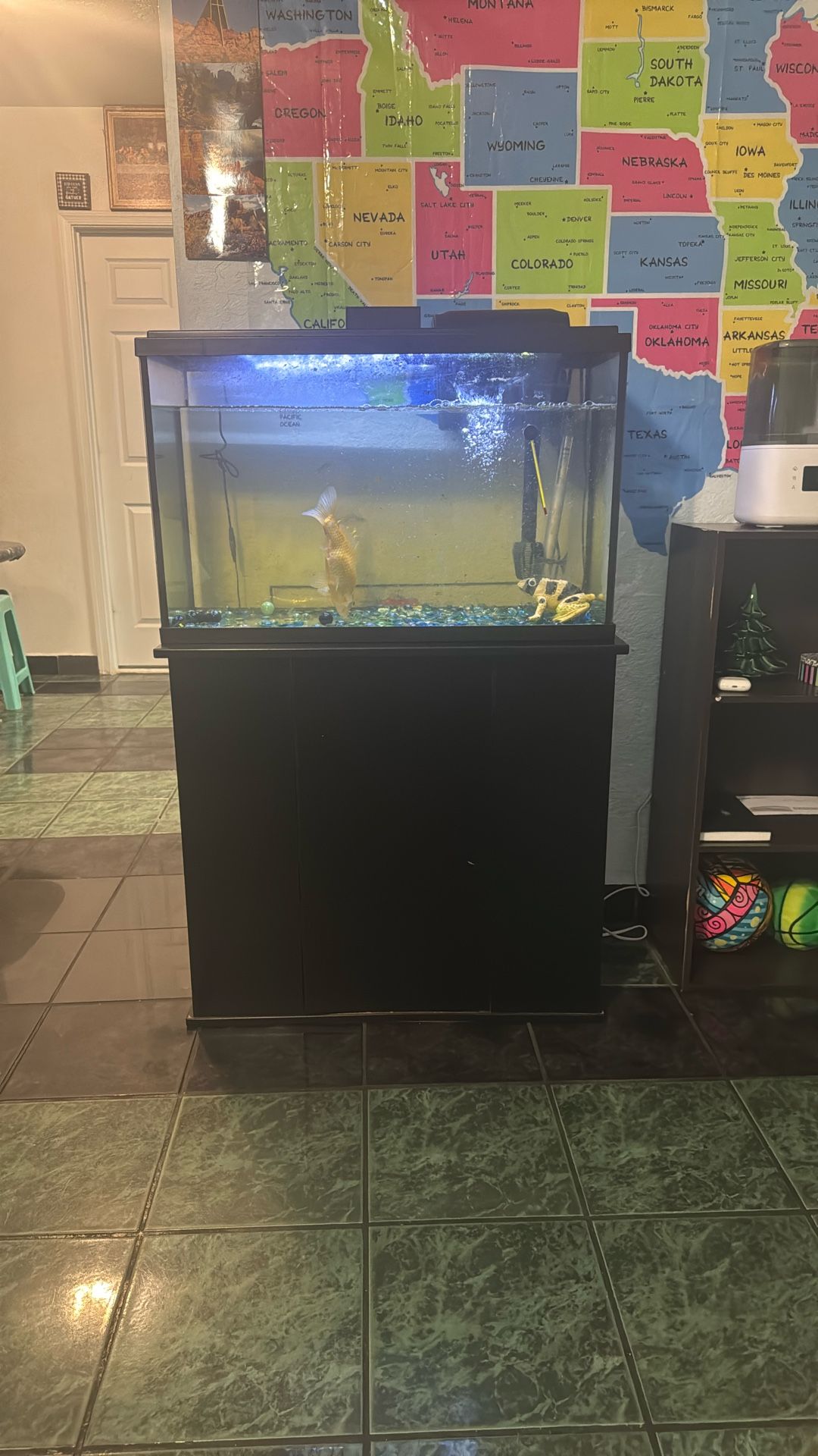 Fish Tank