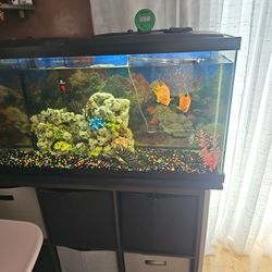 Fish Tank 55 Gallon  Complete 
