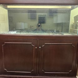 Big Drop To $160. Fish Tank Ignore The mark Sold Notice. Still Selling