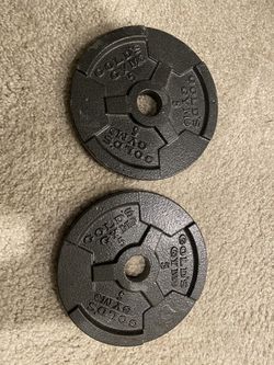 Pair of golds gym 5# plates