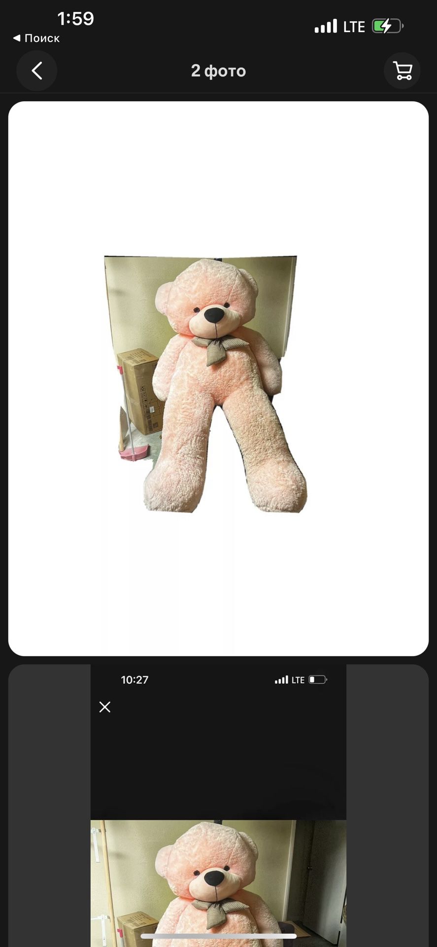 Soft pink Teddy Bear Giant Size