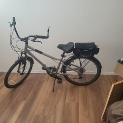21 speed giant