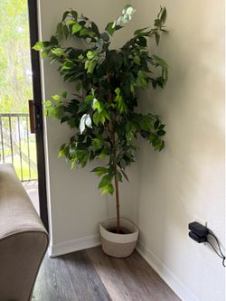Artificial Plant for Sale