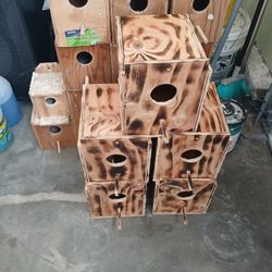 Bendo.nidos.para.cacstuas.y.lobers.