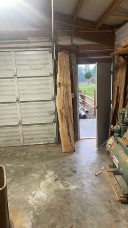 Pacific Yew Wood. $100 Each.